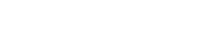 Bravix